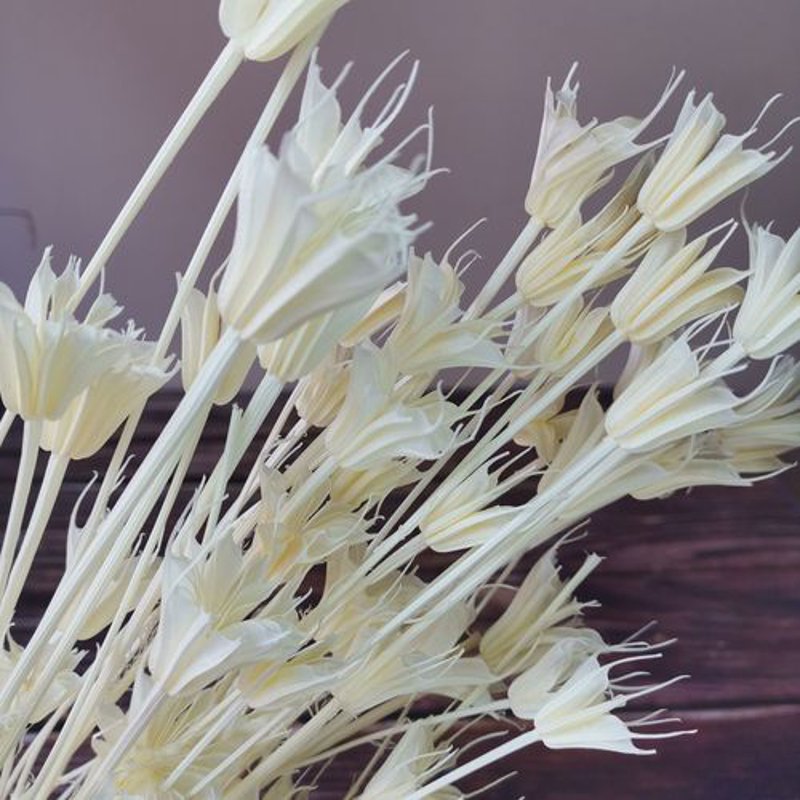 花草茶批发选购指南
