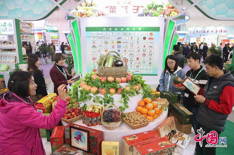 代用茶批发行业新趋势：市场洞察与未来预判